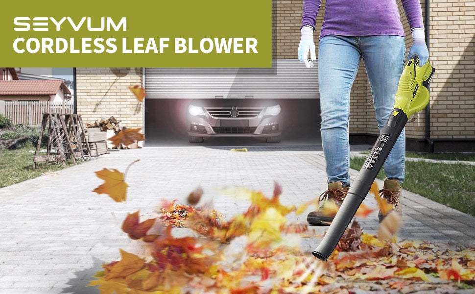 20V Cordless Leaf Blower